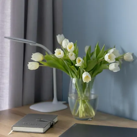 Sea View & 10d10 Dziwnów