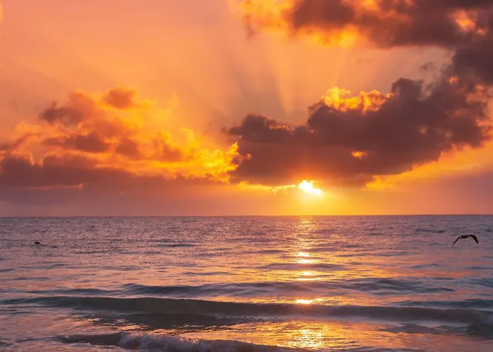 Sea View & 10d10 Dziwnów